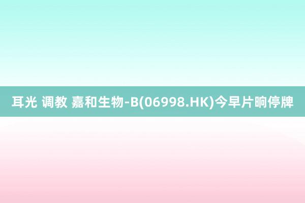 耳光 调教 嘉和生物-B(06998.HK)今早片晌停牌