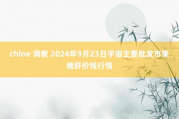 chloe 调教 2024年9月23日宇宙主要批发市集猪肝价钱行情