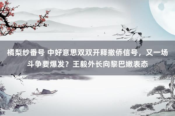 橘梨纱番号 中好意思双双开释撤侨信号，又一场斗争要爆发？王毅外长向黎巴嫩表态