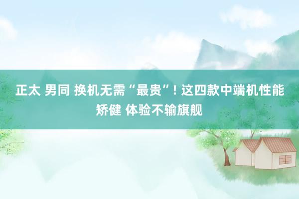 正太 男同 换机无需“最贵”! 这四款中端机性能矫健 体验不输旗舰
