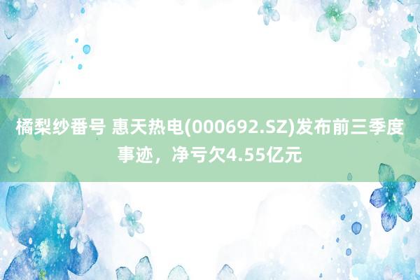 橘梨纱番号 惠天热电(000692.SZ)发布前三季度事迹,净亏欠4.55亿元