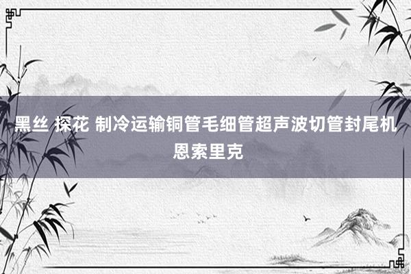 黑丝 探花 制冷运输铜管毛细管超声波切管封尾机 恩索里克