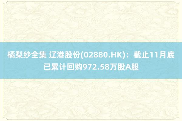 橘梨纱全集 辽港股份(02880.HK)：截止11月底已累计回购972.58万股A股