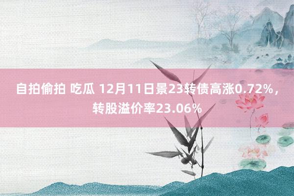 自拍偷拍 吃瓜 12月11日景23转债高涨0.72%,转股溢价率23.06%