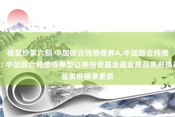 橘梨纱第六部 中加颐合纯债债券A,中加颐合纯债债券C: 中加颐合纯债债券型证券投资基金基金居品贵府摘录更新