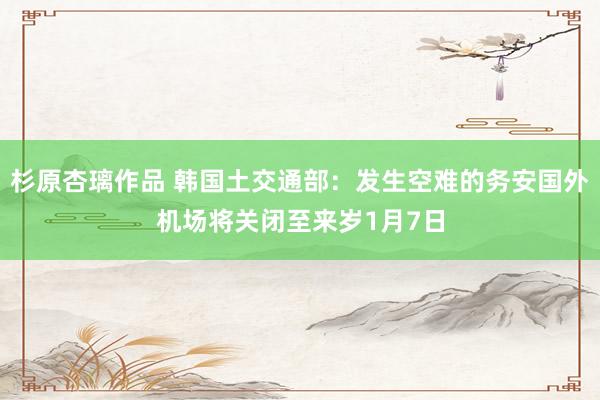 杉原杏璃作品 韩国土交通部：发生空难的务安国外机场将关闭至来岁1月7日