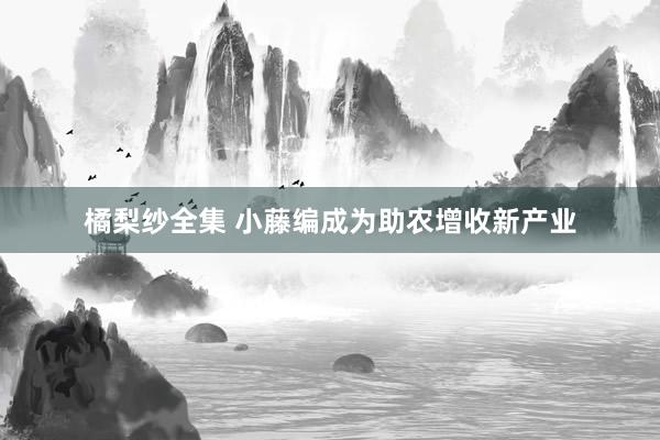 橘梨纱全集 小藤编成为助农增收新产业