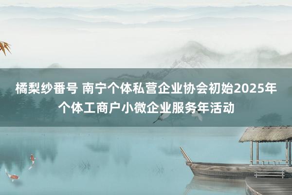 橘梨纱番号 南宁个体私营企业协会初始2025年个体工商户小微企业服务年活动