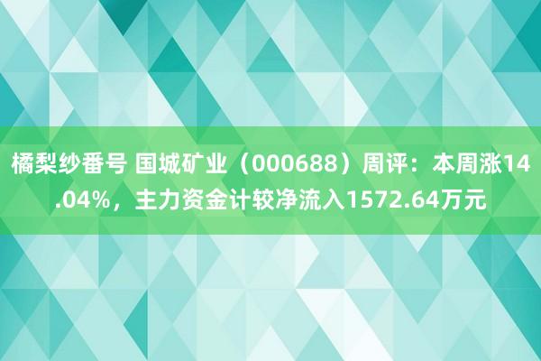 橘梨纱番号 国城矿业（000688）周评：本周涨14.04%，主力资金计较净流入1572.64万元