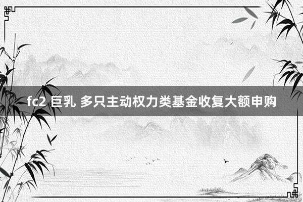 fc2 巨乳 多只主动权力类基金收复大额申购