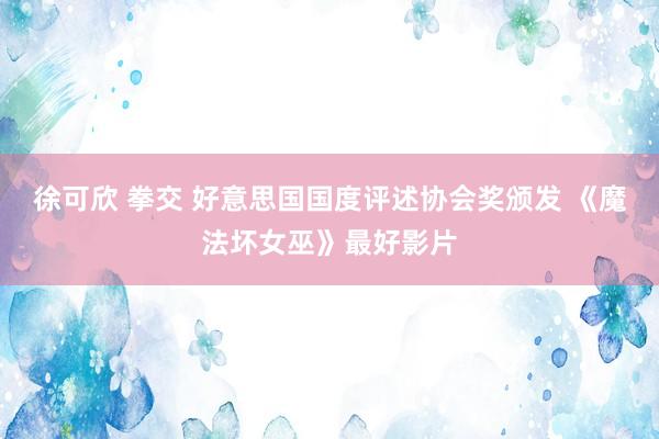 徐可欣 拳交 好意思国国度评述协会奖颁发 《魔法坏女巫》最好影片