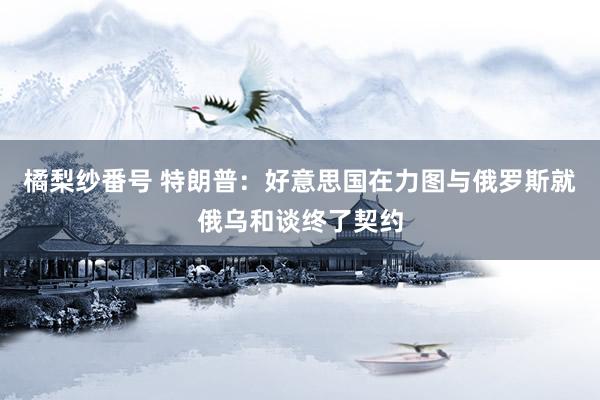 橘梨纱番号 特朗普：好意思国在力图与俄罗斯就俄乌和谈终了契约