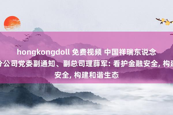 hongkongdoll 免费视频 中国祥瑞东说念主寿山东分公司党委副通知、副总司理薛军: 看护金融安全， 构建和谐生态