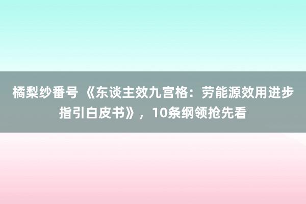 橘梨纱番号 《东谈主效九宫格：劳能源效用进步指引白皮书》，10条纲领抢先看
