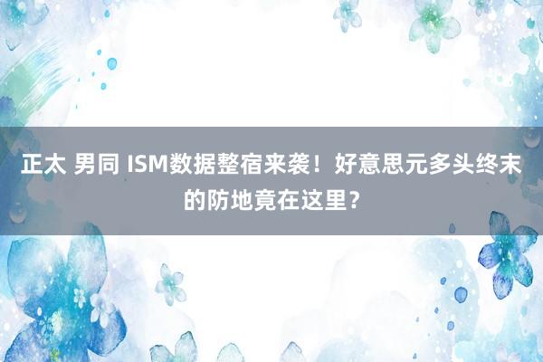 正太 男同 ISM数据整宿来袭！好意思元多头终末的防地竟在这里？