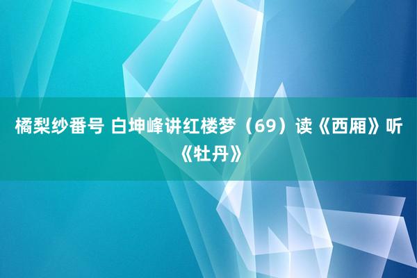 橘梨纱番号 白坤峰讲红楼梦（69）读《西厢》听《牡丹》