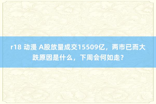 r18 动漫 A股放量成交15509亿，两市已而大跌原因是什么，下周会何如走？