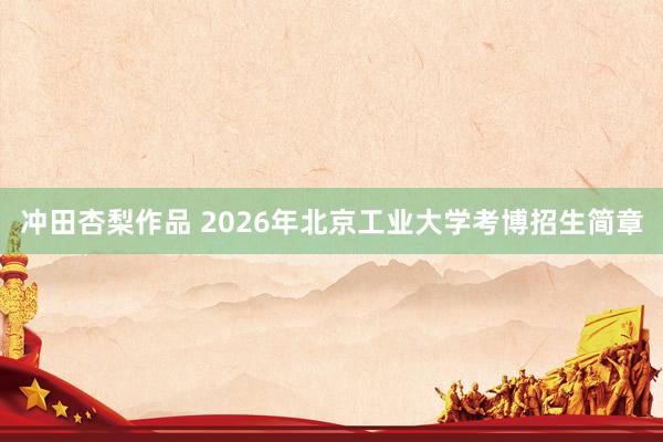 冲田杏梨作品 2026年北京工业大学考博招生简章