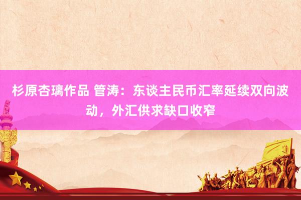 杉原杏璃作品 管涛：东谈主民币汇率延续双向波动，外汇供求缺口收窄