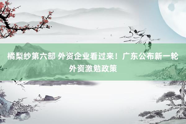橘梨纱第六部 外资企业看过来！广东公布新一轮外资激勉政策