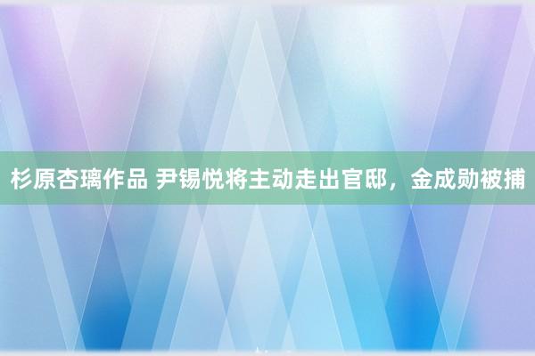 杉原杏璃作品 尹锡悦将主动走出官邸，金成勋被捕