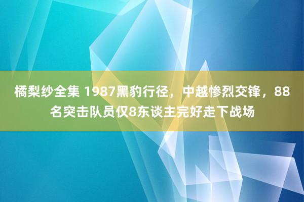 橘梨纱全集 1987黑豹行径，中越惨烈交锋，88名突击队员仅8东谈主完好走下战场