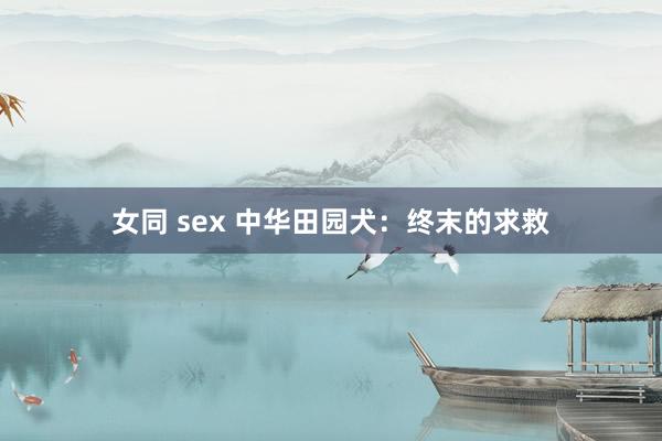 女同 sex 中华田园犬：终末的求救
