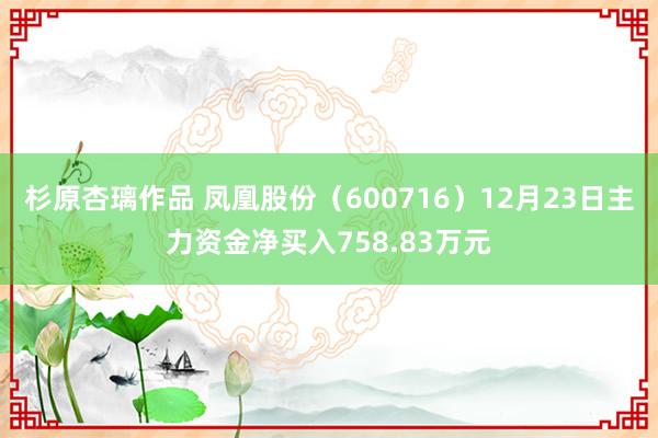 杉原杏璃作品 凤凰股份（600716）12月23日主力资金净买入758.83万元