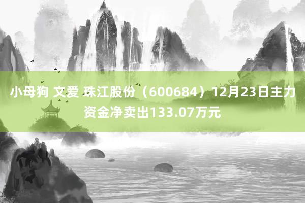 小母狗 文爱 珠江股份（600684）12月23日主力资金净卖出133.07万元