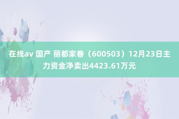 在线av 国产 丽都家眷（600503）12月23日主力资金净卖出4423.61万元