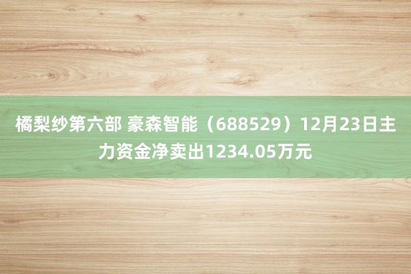 橘梨纱第六部 豪森智能（688529）12月23日主力资金净卖出1234.05万元