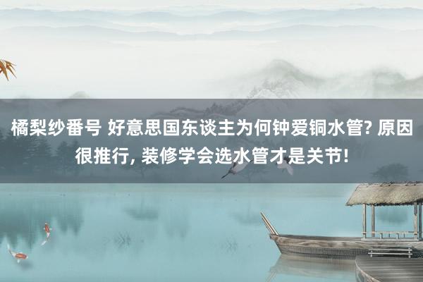 橘梨纱番号 好意思国东谈主为何钟爱铜水管? 原因很推行， 装修学会选水管才是关节!