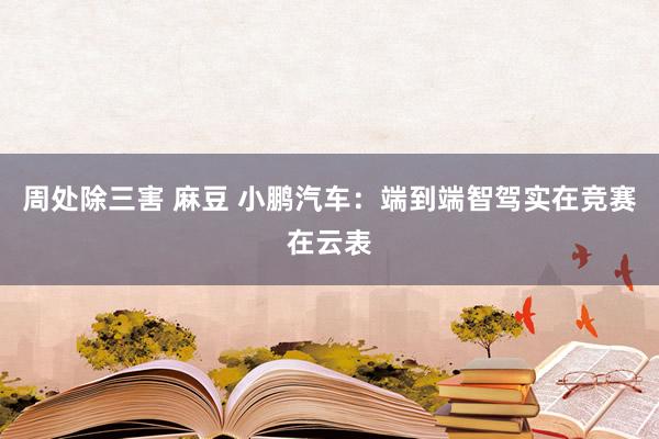 周处除三害 麻豆 小鹏汽车：端到端智驾实在竞赛在云表