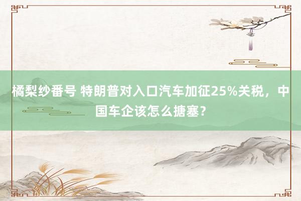 橘梨纱番号 特朗普对入口汽车加征25%关税，中国车企该怎么搪塞？