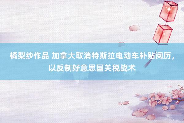 橘梨纱作品 加拿大取消特斯拉电动车补贴阅历，以反制好意思国关税战术