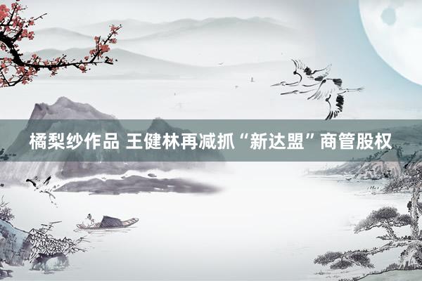 橘梨纱作品 王健林再减抓“新达盟”商管股权