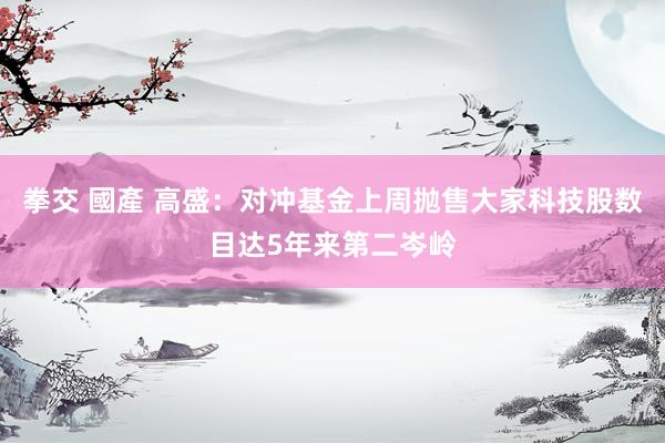 拳交 國產 高盛：对冲基金上周抛售大家科技股数目达5年来第二岑岭
