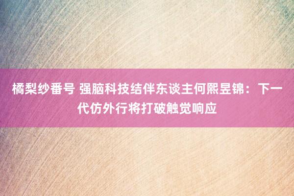 橘梨纱番号 强脑科技结伴东谈主何熙昱锦：下一代仿外行将打破触觉响应