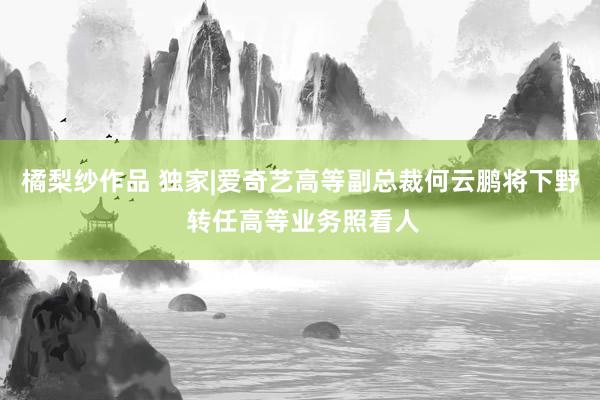 橘梨纱作品 独家|爱奇艺高等副总裁何云鹏将下野 转任高等业务照看人