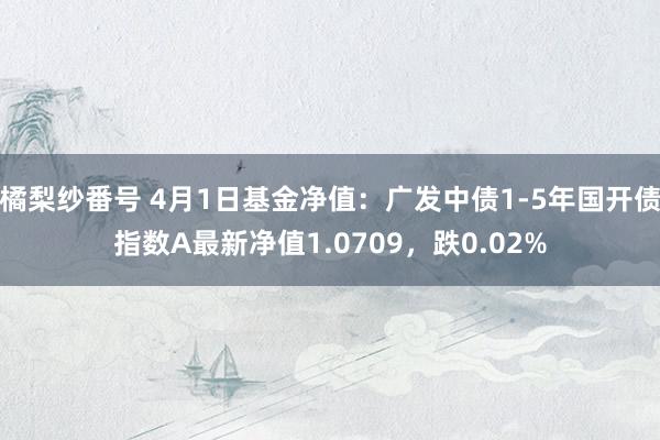 橘梨纱番号 4月1日基金净值：广发中债1-5年国开债指数A最新净值1.0709，跌0.02%