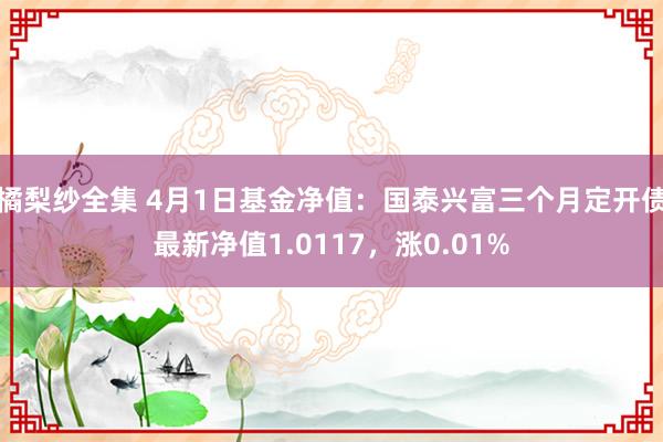 橘梨纱全集 4月1日基金净值：国泰兴富三个月定开债最新净值1.0117，涨0.01%