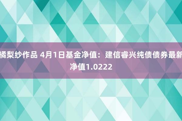 橘梨纱作品 4月1日基金净值：建信睿兴纯债债券最新净值1.0222