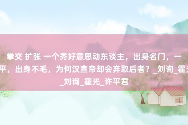 拳交 扩张 一个秀好意思动东谈主，出身名门，一个仪容平平，出身不毛，为何汉宣帝却会弃取后者？_刘询_霍光_许平君
