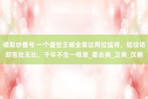橘梨纱番号 一个盛世王朝全靠这两位猛将，现坟场却苦处无比，千年不生一根草_霍去病_卫青_汉朝