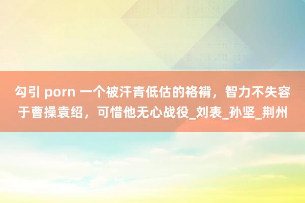 勾引 porn 一个被汗青低估的袼褙，智力不失容于曹操袁绍，可惜他无心战役_刘表_孙坚_荆州
