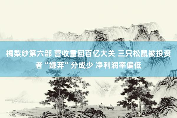 橘梨纱第六部 营收重回百亿大关 三只松鼠被投资者“嫌弃”分成少 净利润率偏低