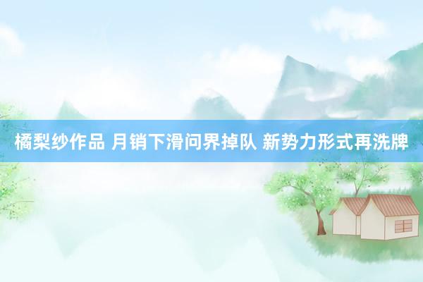 橘梨纱作品 月销下滑问界掉队 新势力形式再洗牌