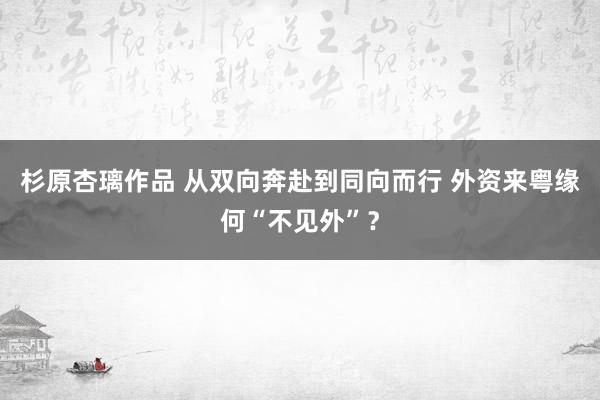 杉原杏璃作品 从双向奔赴到同向而行 外资来粤缘何“不见外”？