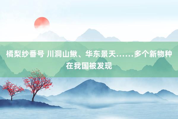 橘梨纱番号 川洞山鳅、华东景天……多个新物种在我国被发现