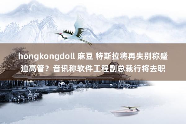 hongkongdoll 麻豆 特斯拉将再失别称蹙迫高管？音讯称软件工程副总裁行将去职